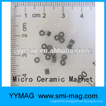 High quality Custom-made micro/mini small ring magnet